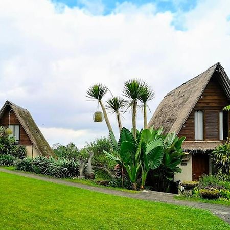 Village Above The Clouds Bedugul  Luaran gambar